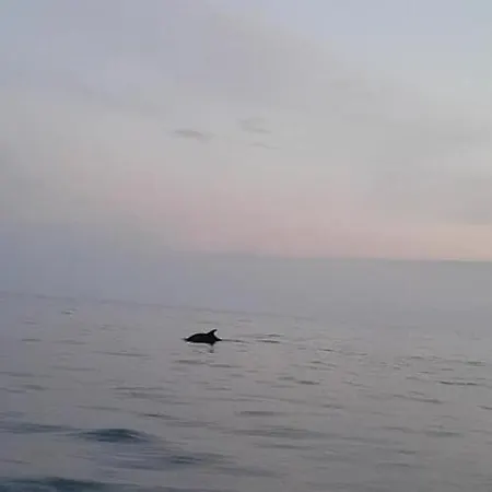 Le Victoria, 2p Moderne, Les Pieds Dans L'eau, Parking, Piscine Apartment Menton