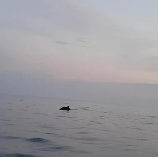 Le Victoria, 2p Moderne, Les Pieds Dans L'eau, Parking, Piscine Appartement Menton